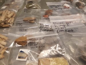 Archéologie Saint-Pierre et Miquelon