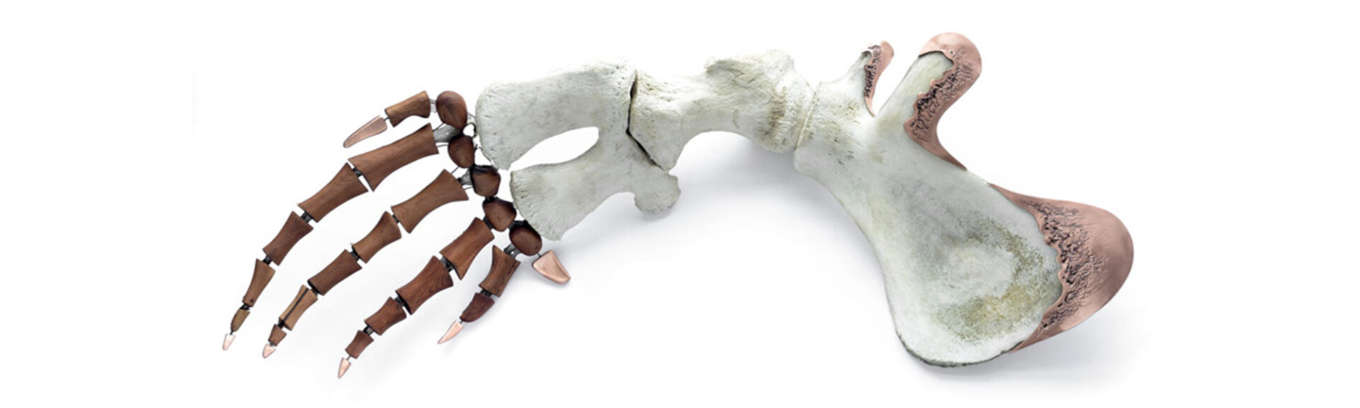 Oeuvre Claude Bourque Dinandier