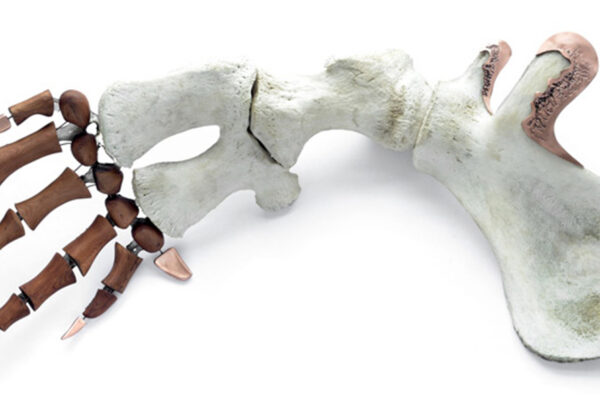 Oeuvre Claude Bourque Dinandier