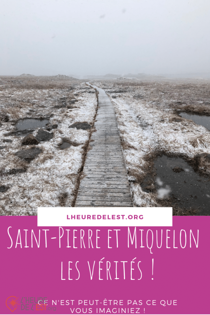 De l'info, pas de l'intox sur Saint-Pierre et Miquelon