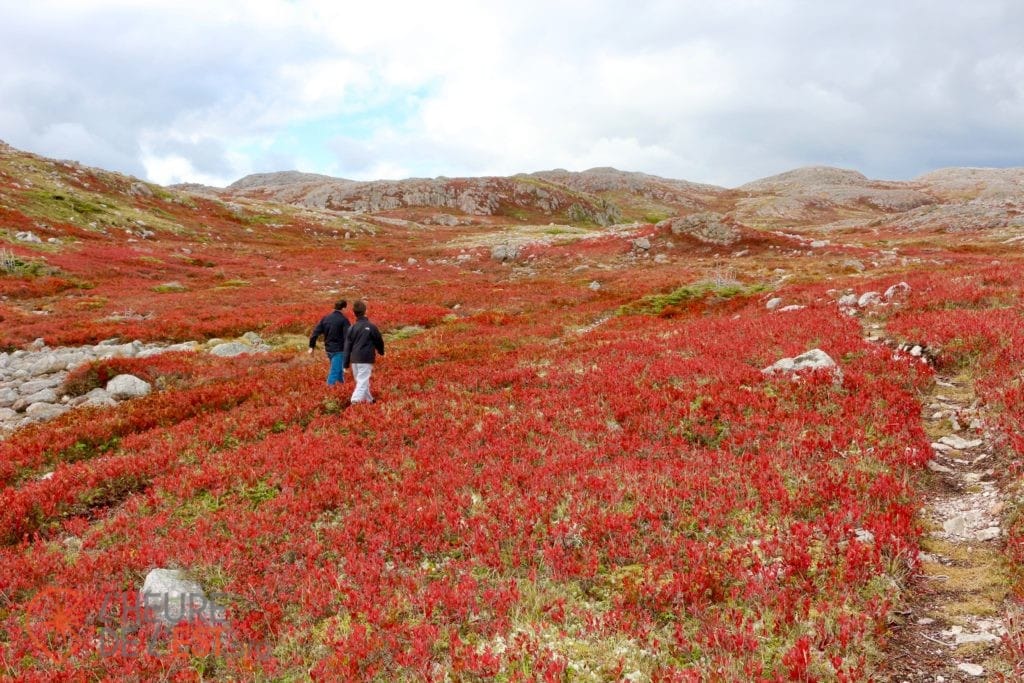Saint-Pierre et Miquelon