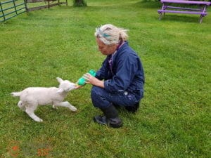 Tourisme littéraire