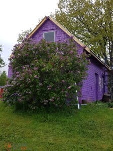 Tourisme littéraire