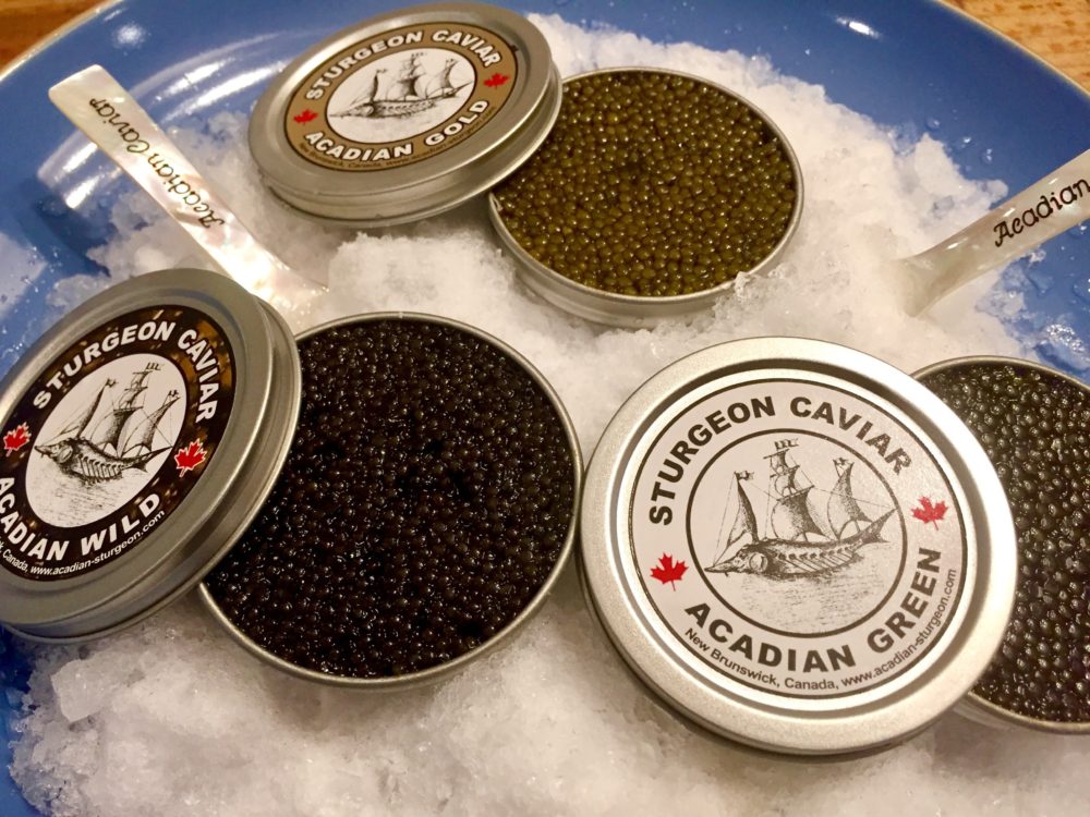 Le caviar, l’or noir de la Baie de Fundy