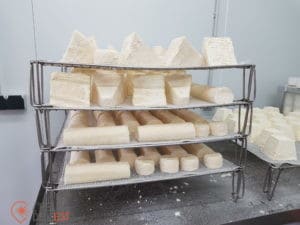 Terroir Miquelon