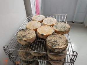 Terroir Miquelon