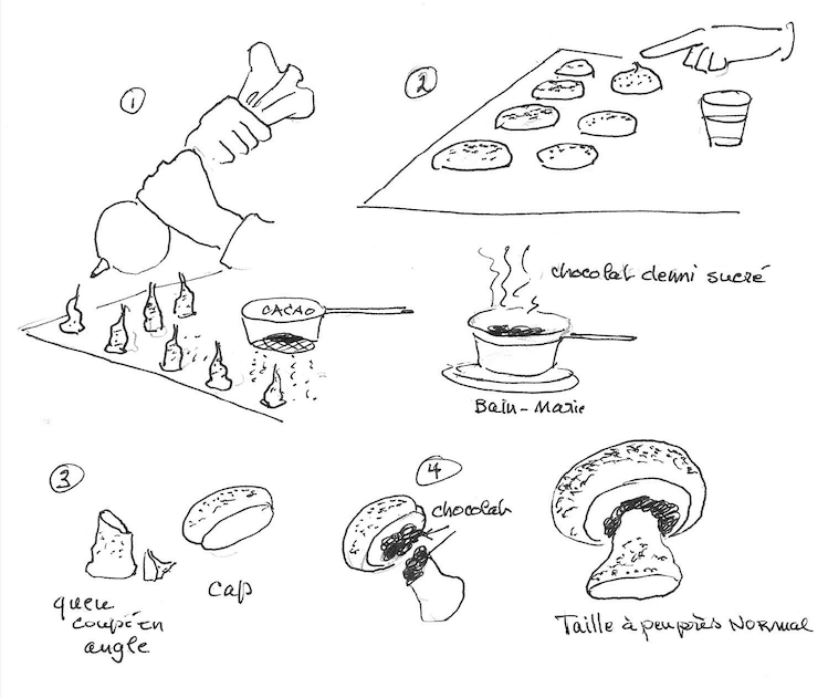 comment faire les champignons