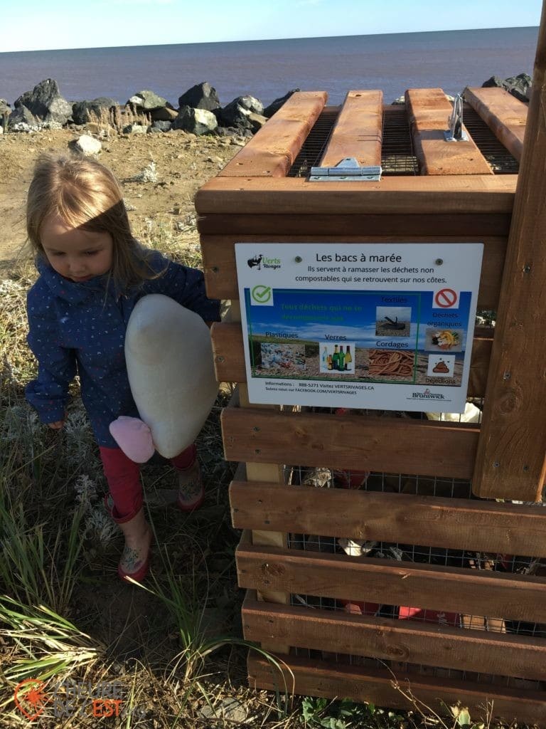 sensibilisation au développement durable