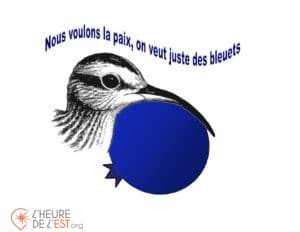 sensibilisation au développement durable