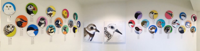 expo oiseaux des îles-de-la-Madeleine