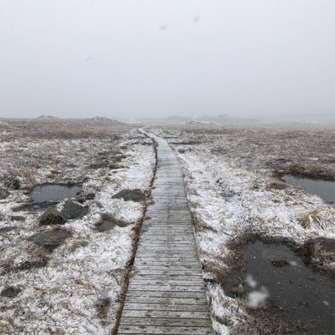 le joli chemin de bois du diamant au début de l'hiver à saint pierre et miquelon balade à saint pierre et miquelon