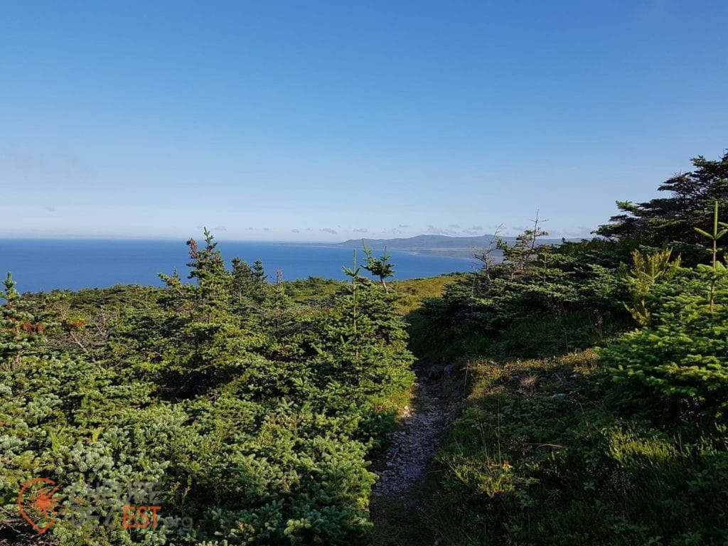 dans le cap de Miquelon