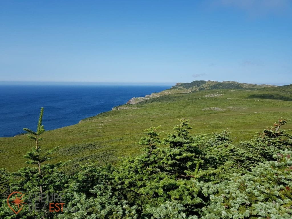 Le Cap de Miquelon