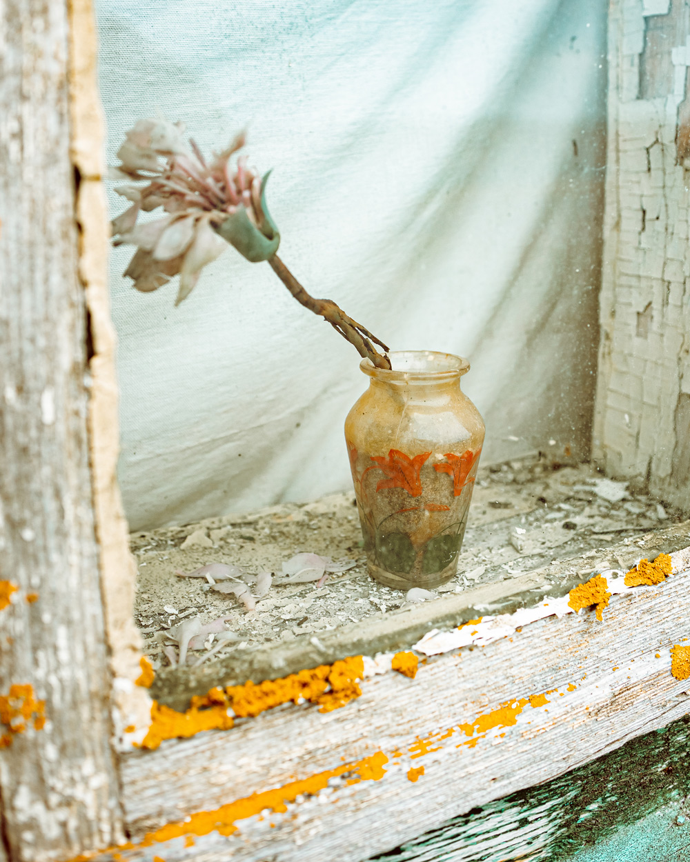 sur une fenetre d'une vieille maison de l'ile aux marins saint pierre et miquelon