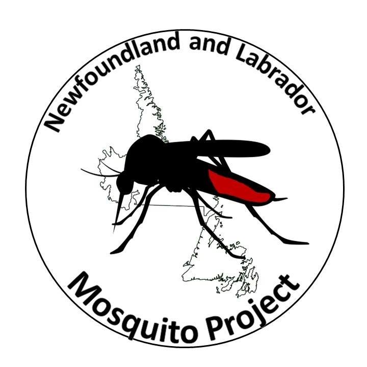 the mosquito project logo