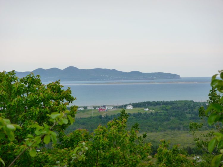 le verger des Îles de la Madeleine