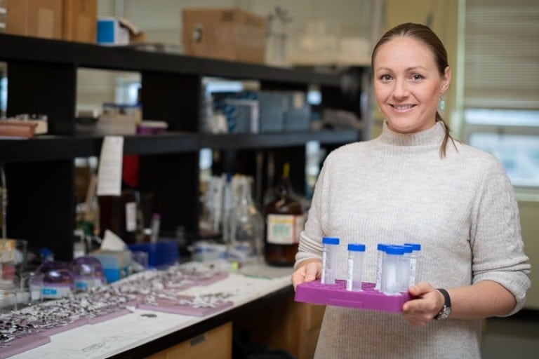 Mosquito project à Terre Neuve et Labrador