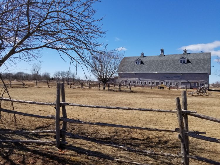 fière Acadienne