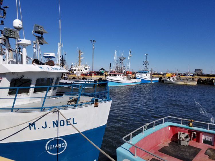 libraire indépendant