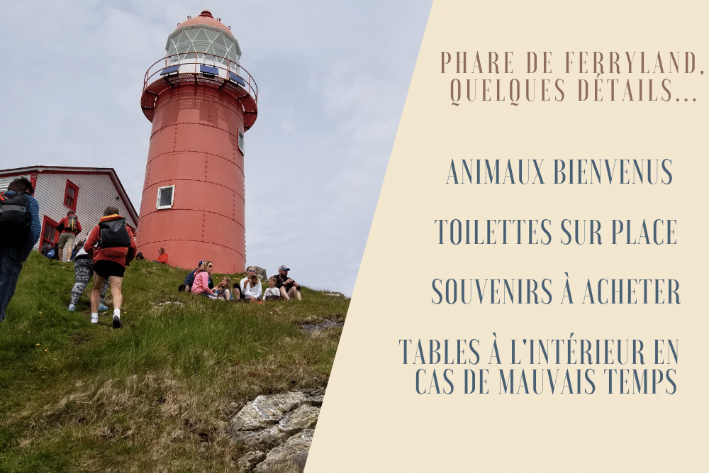 phare de Ferryland