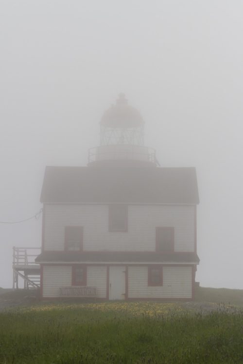 phare de Ferryland
