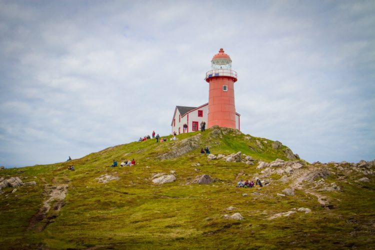 phare de Ferryland