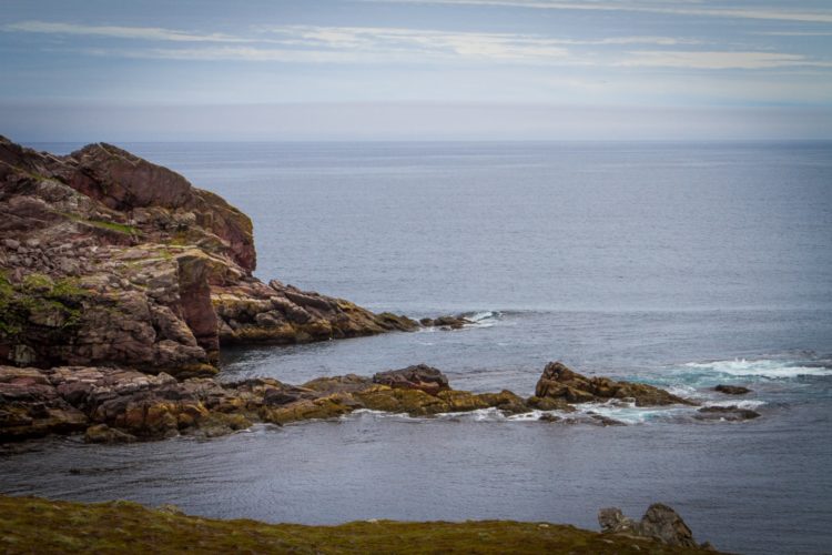 phare de Ferryland