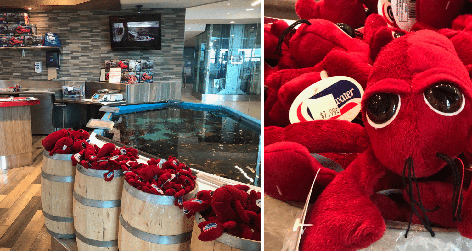 la boutique de homards Clearwaters aéroport Halifax Stanfield Boutique homards clearwaters