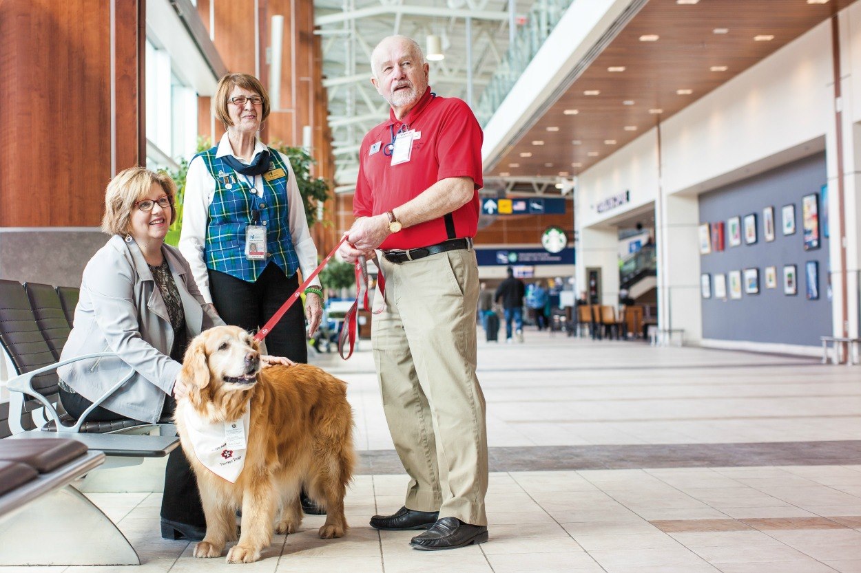 zoothérapie canine aéroport Halifax Stanfield