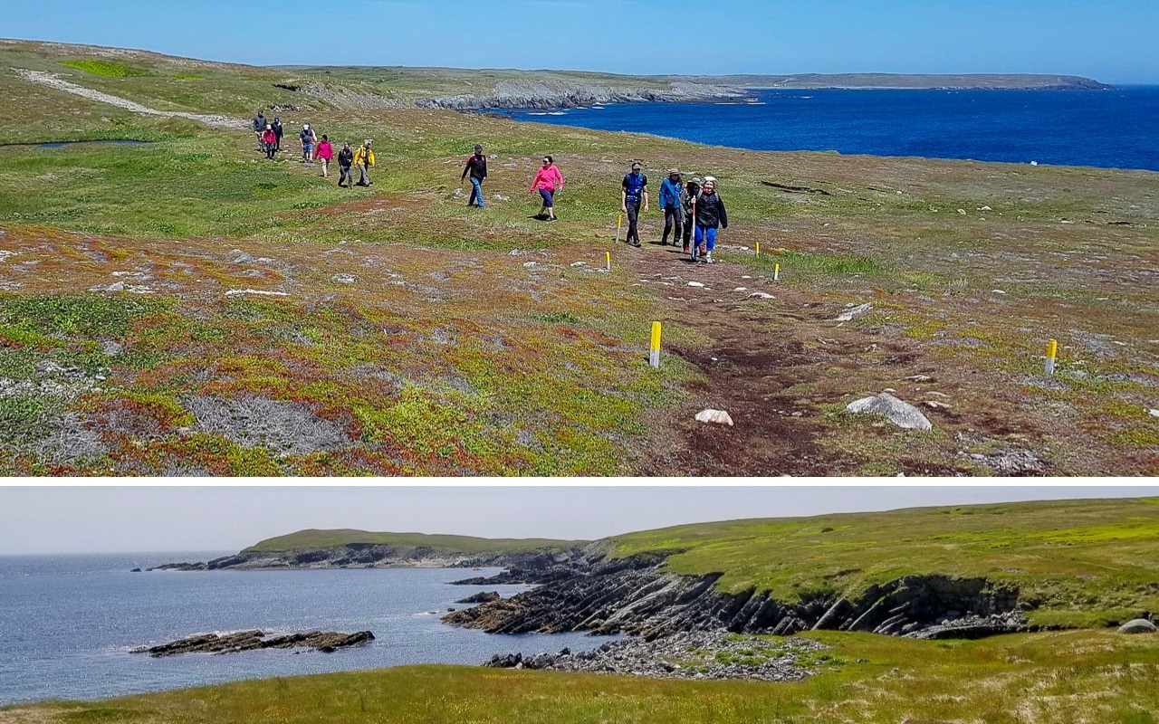 Mistaken Point en chemin