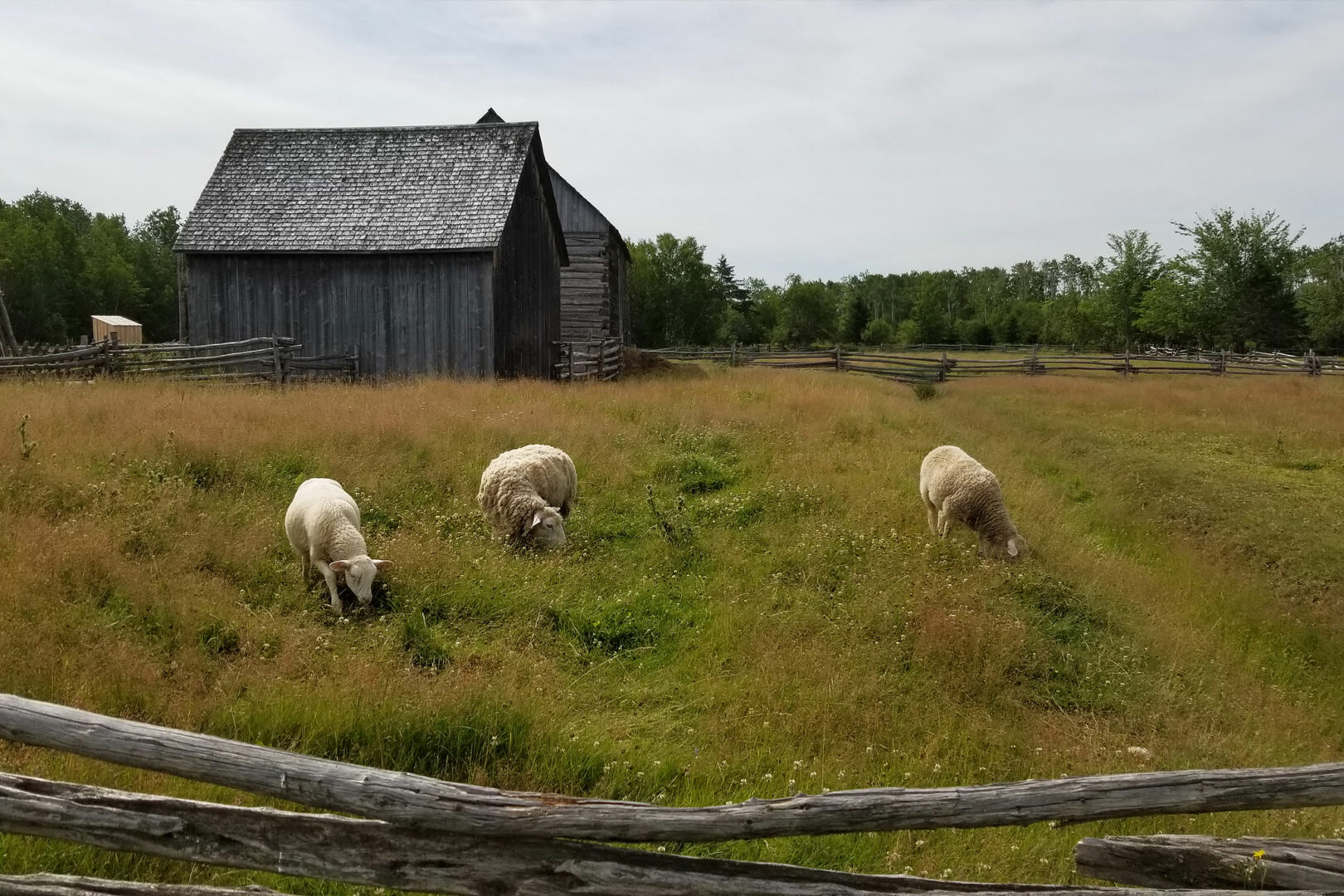 défaisure village historique acadien