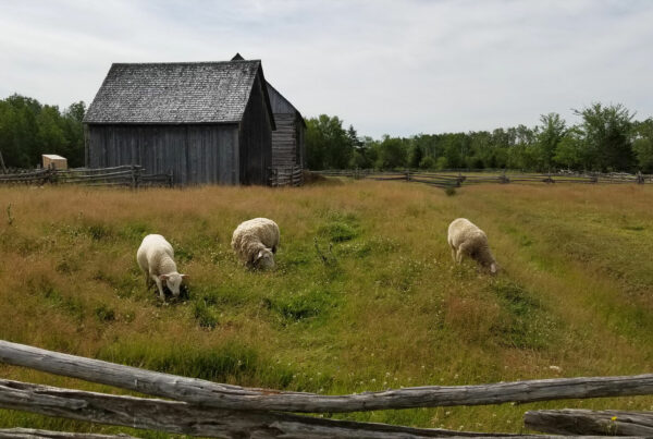 défaisure village historique acadien