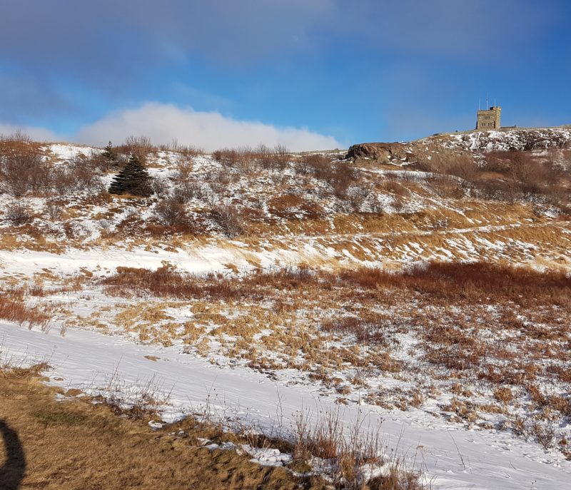 pourquoi vivre à St. John's