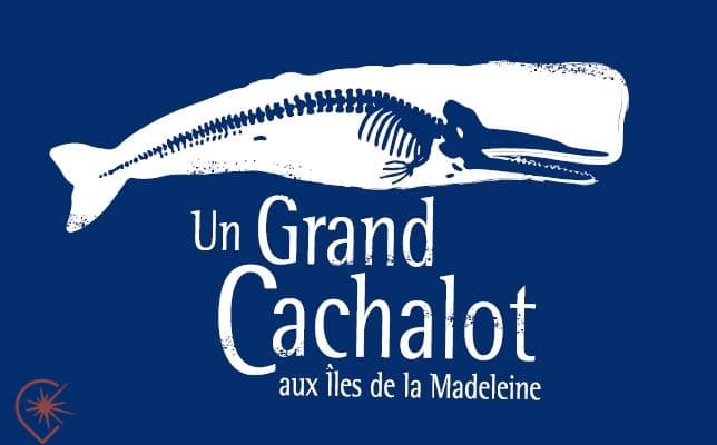 Îles de la Madeleine
