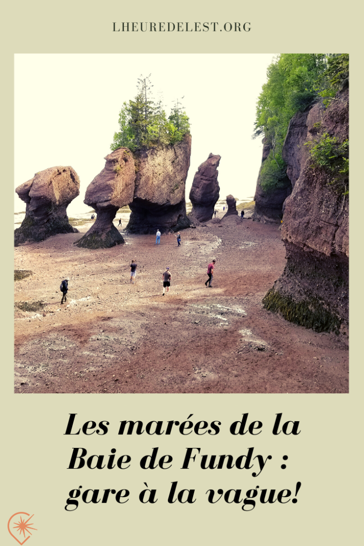 marées de la baie de fundy