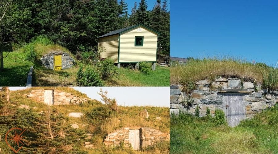 celliers à légumes