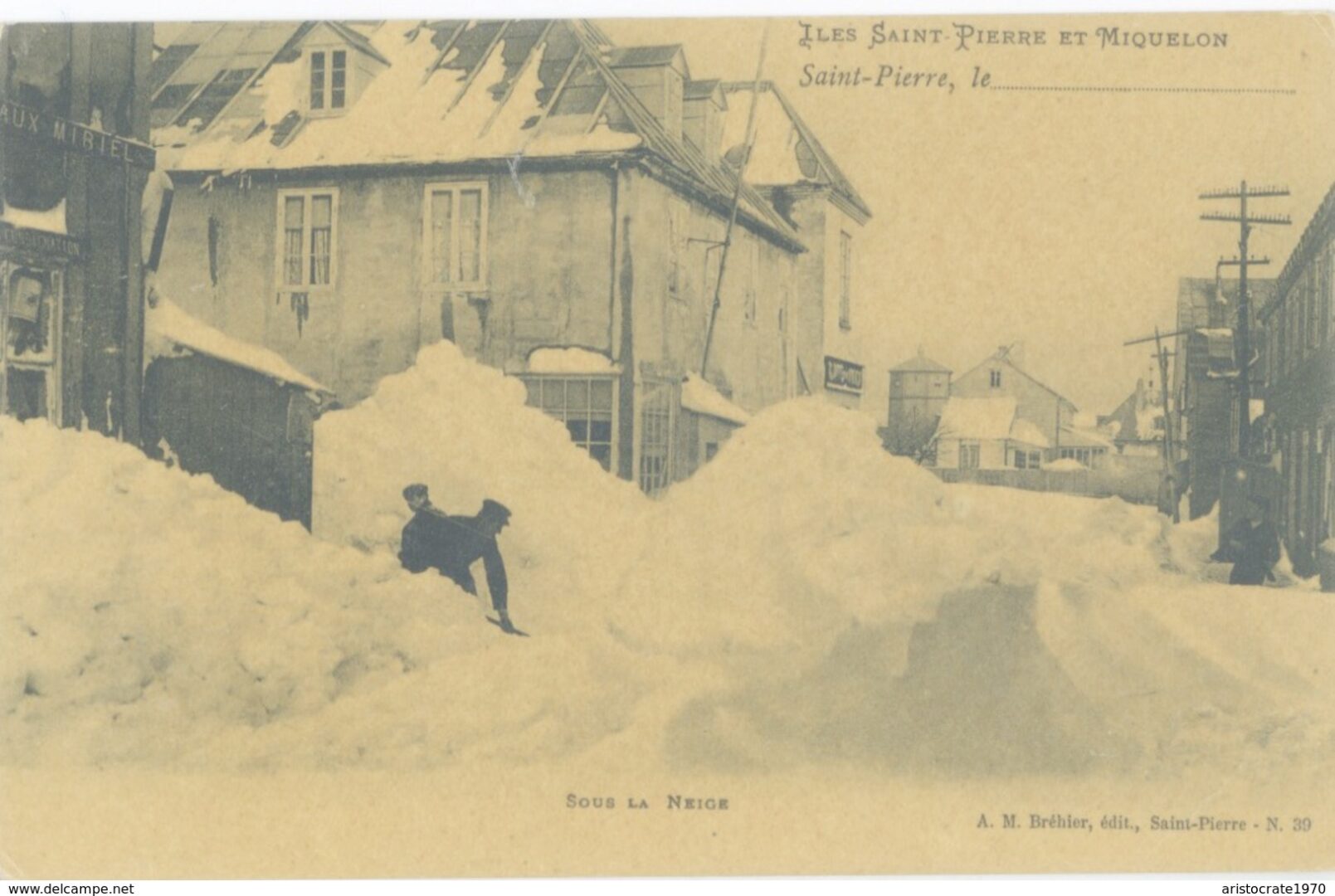 photos hiver caniques et boules de romequin SAint-Pierre et Miquelon