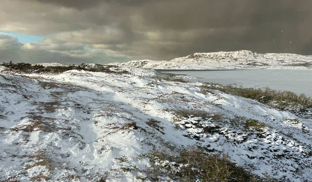 hiver etang goeland Saint-Pierre et Miquelon