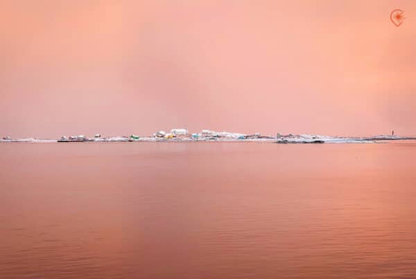 lumière rose dorée sur l'ile aux marins en hiver à saint pierre et miquelon