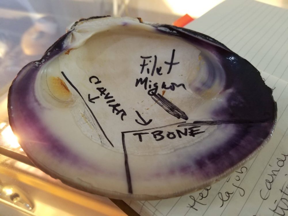 wampum bijoux palourdes wampum bijoux palourdes