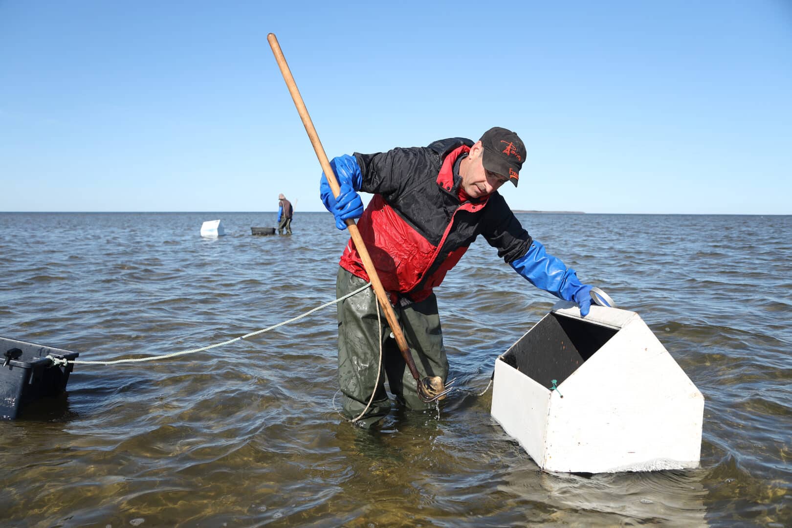 la pêche aux palourdes à caraquet