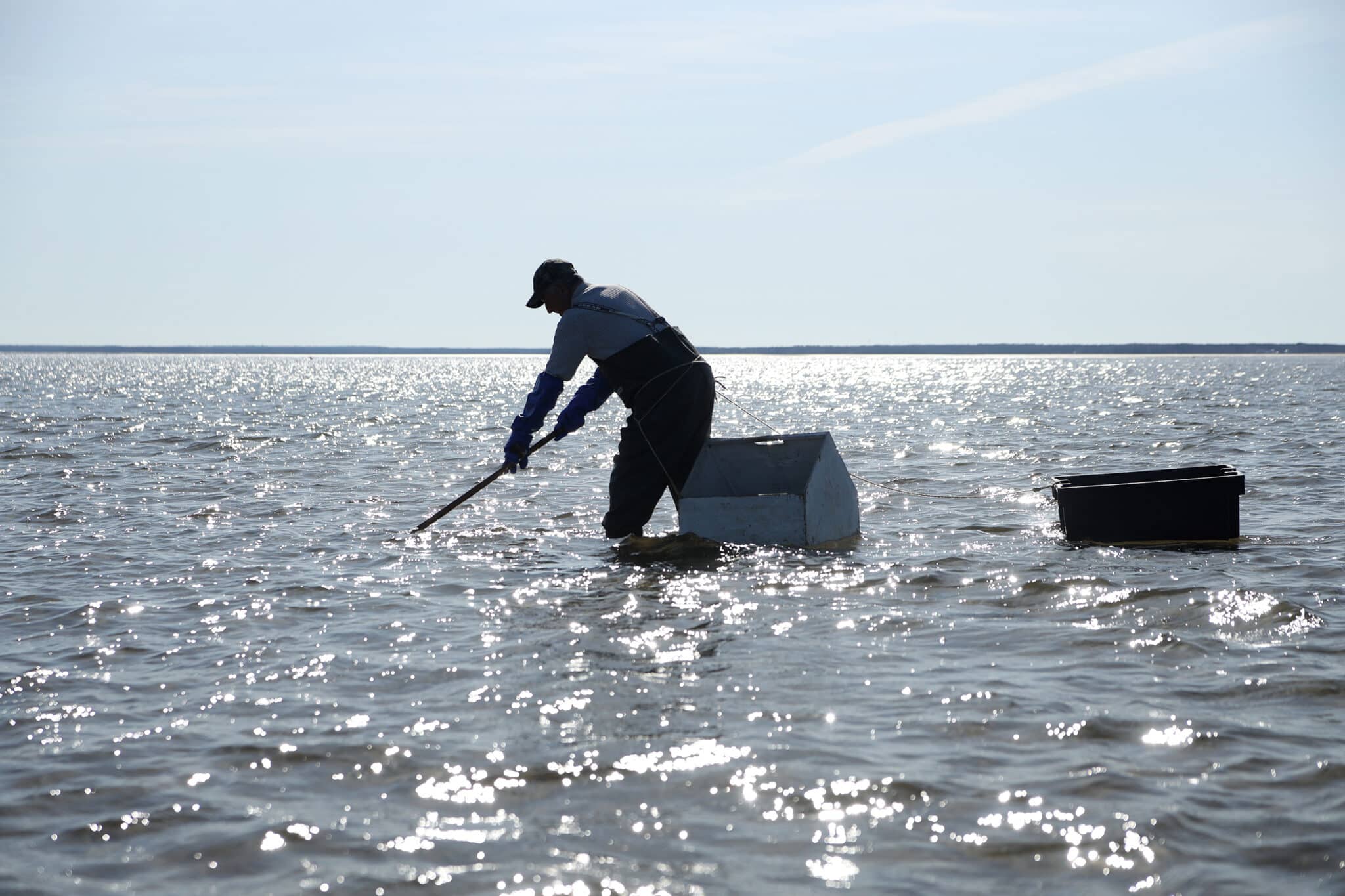 Coin De Pêche à La Palourde Sarzeau
