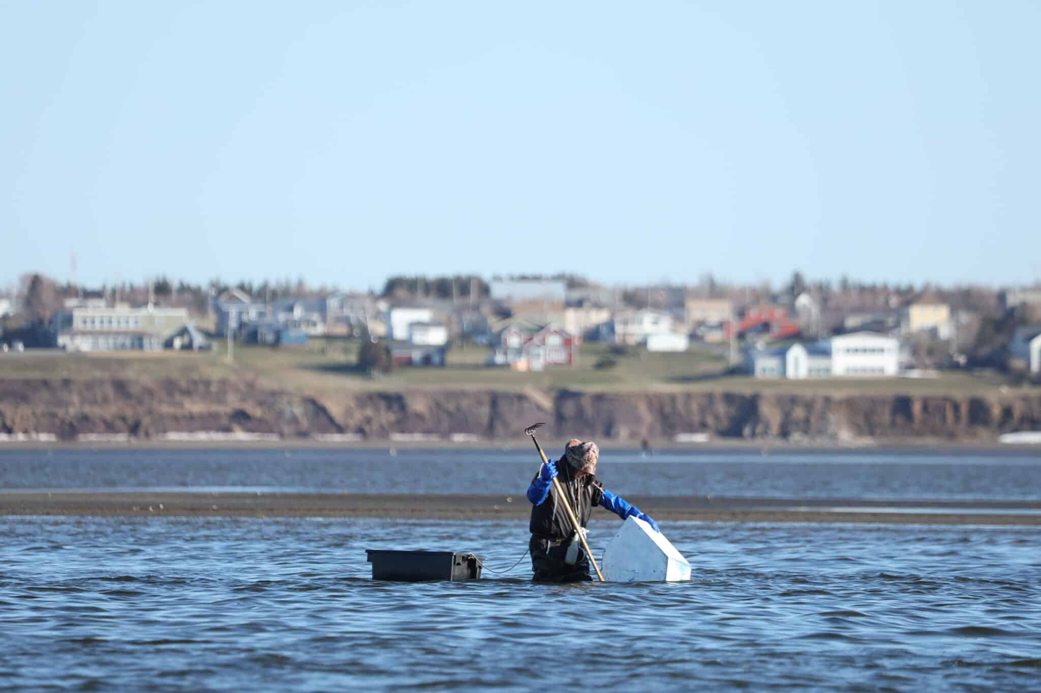 Coin De Pêche à La Palourde Sarzeau