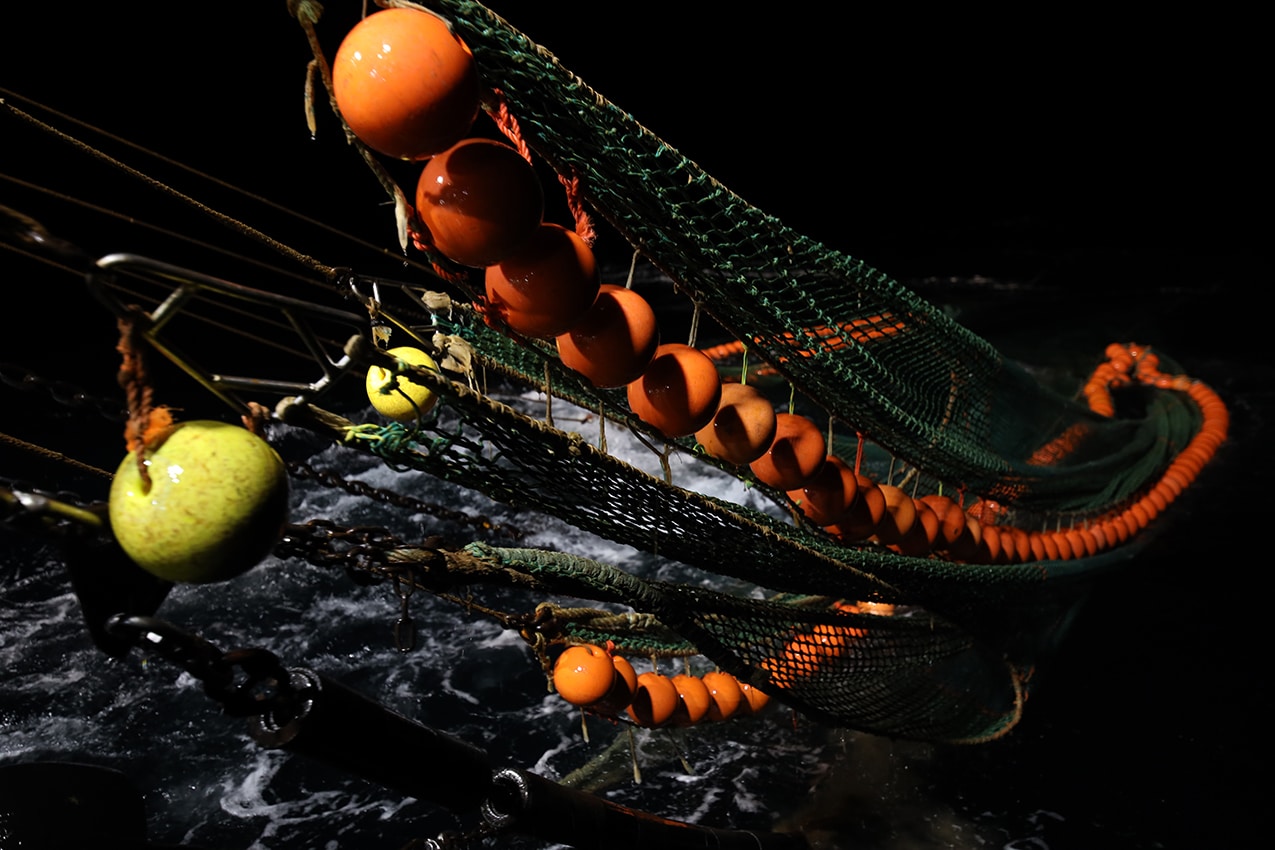 pêche aux crevettes