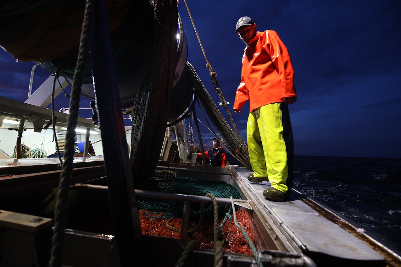 Pêche aux crevettes