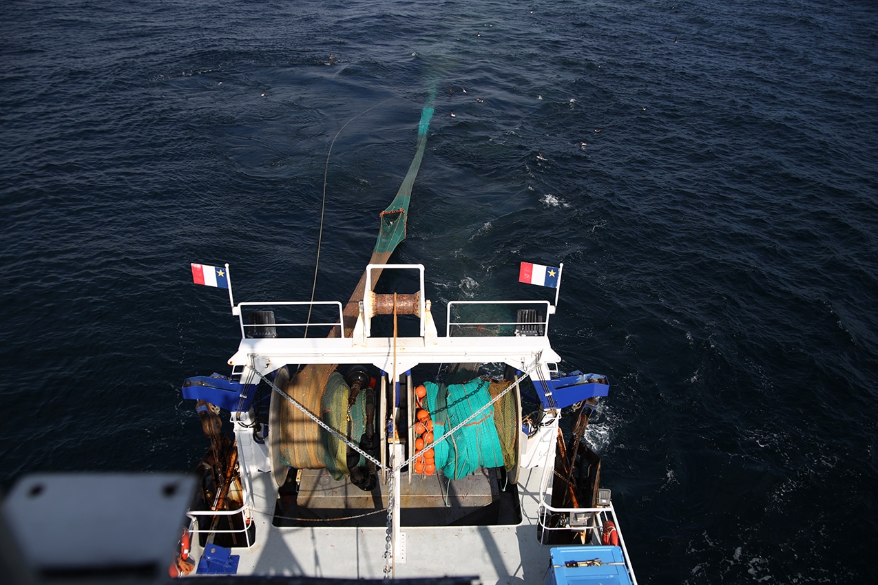 pêche aux crevettes