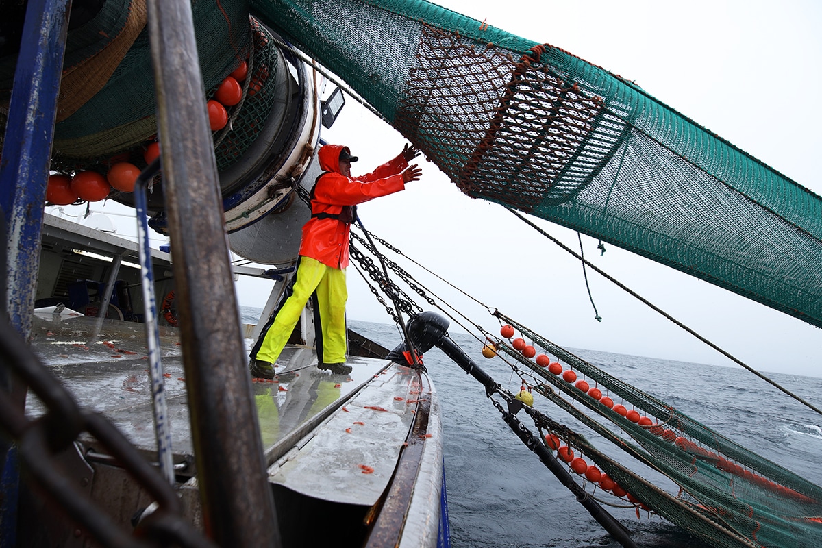 scene de peche aux crevettes