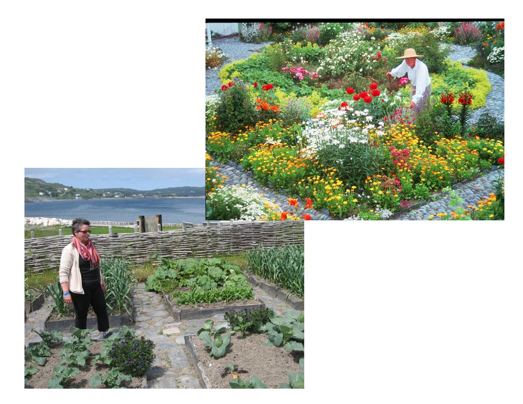 les jardins près des sites de recherches archéologiques ferryland terre neuve et labrador