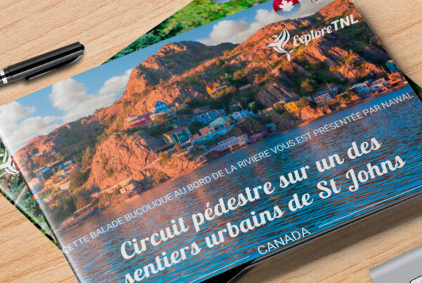 en tete visites guidees terre neuve exploretnl